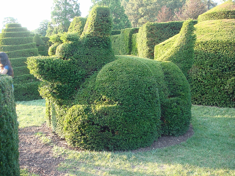477 Longwood Gardens [2008 August 23].JPG - Longwood Gardens in Pennsylvania